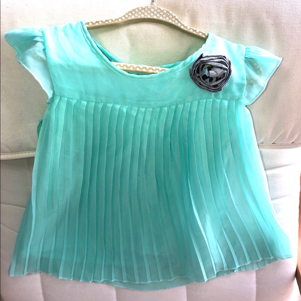 Health Tex Girls 4T Sheer Dress w/Lining